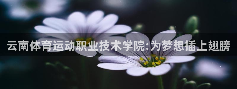 七星体育直播现场直播频道：云南体育运动职业技术学院:为梦想插上翅膀