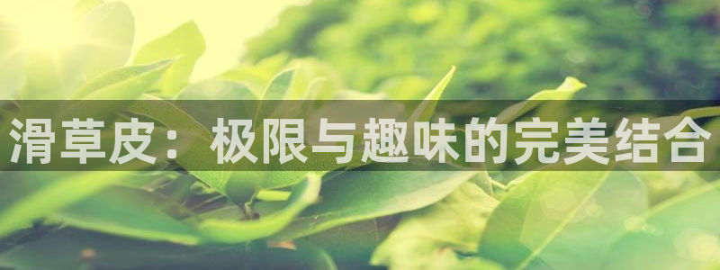七星体育彩票：滑草皮：极限与趣味的完美结合