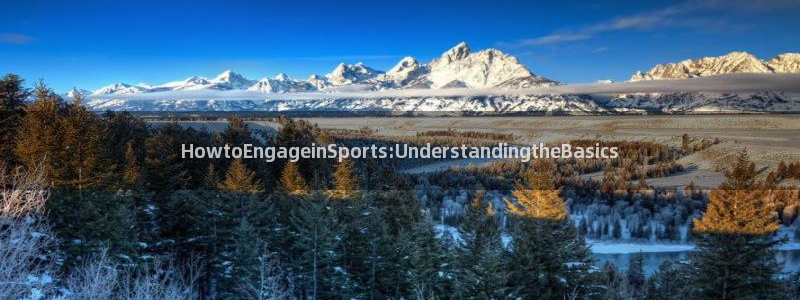 七星体育男主持：HowtoEngageinSports:UnderstandingtheBasics