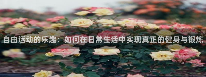 七星体育彩票中奖号码是多少：自由运动的乐趣：如何在日常生活中实现真正的健身与锻炼