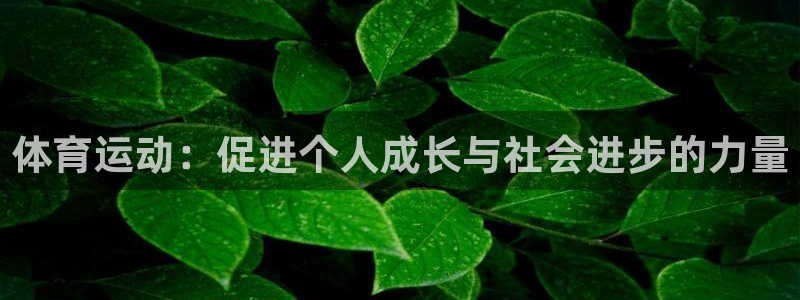 七星体育彩票结果：体育运动：促进个人成长与社会进步的力量
