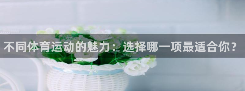 关键词：不同体育运动的魅力：选择哪一项最适合你？